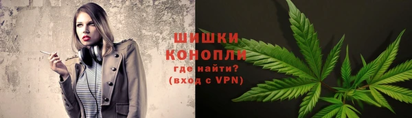 гидра Аркадак