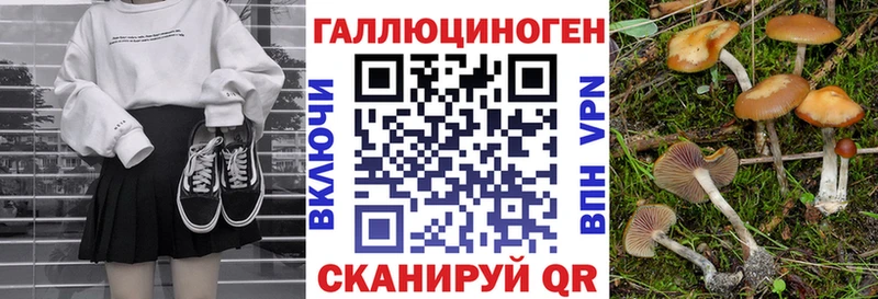 Галлюциногенные грибы Cubensis  Феодосия 